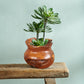 Teak Wood Cowak Vase Gentong-11.8"x11.8"x9.8"